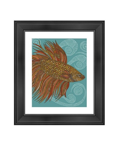 Beta Fish, 24″ x 20″