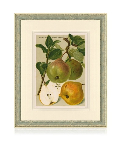 Antique Pear Print III, c. 1900 - 1910