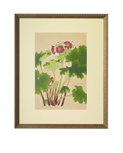 1929 Botanical Japanese Woodblock Primrose