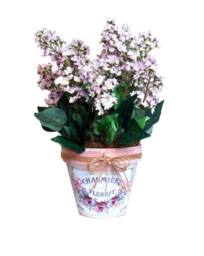 Lilacs In Clay Pot [Lavender/Green]