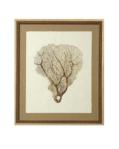 Gold Leaf Sea Fan Print with Rustic Beaded Wood Frame, Gold/Cream, 26 x 22