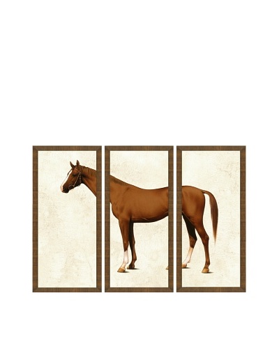 ABC Horse Triptych
