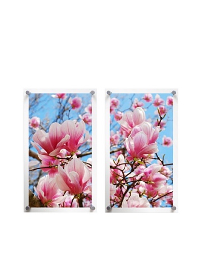 Magnolia Blooms, Diptych