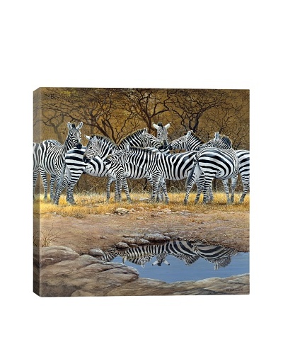 Zebras by Harro Maass Giclée on Canvas