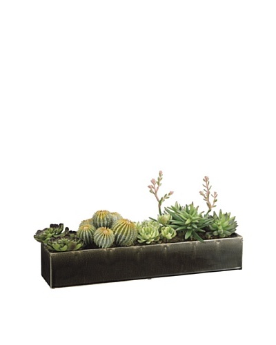 Allstate Floral Succulents in Long Ceramic Container, Green