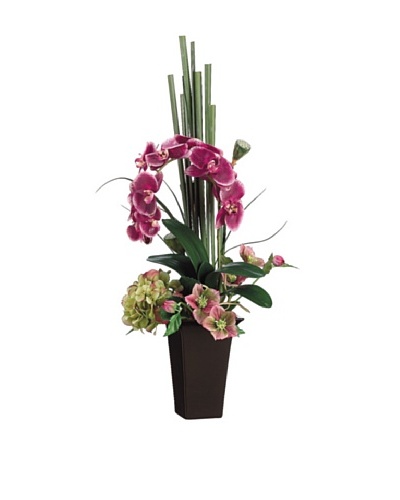 Phalaenopsis/Hydrangea Plant, Violet/Orchid