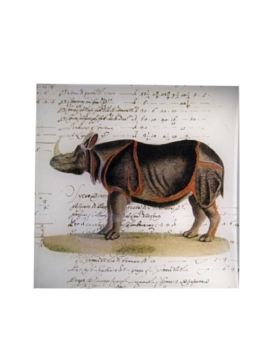 Twigs and Moss African Series Rhinoceros Glass Tray