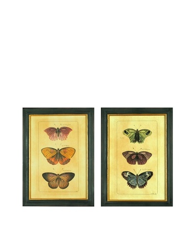 Set of 2 Framed Reproduction Butterfly Prints