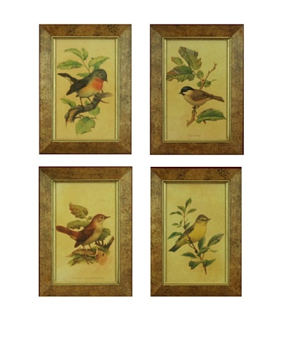 Set of 4 Framed Reproduction Ornithological Prints