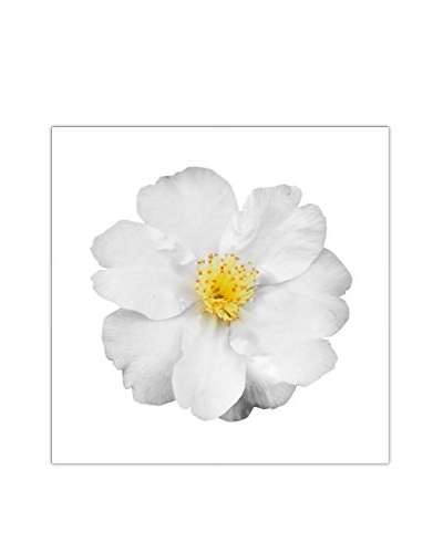 Art Addiction White Floral On White VII Artwork on Acrylic