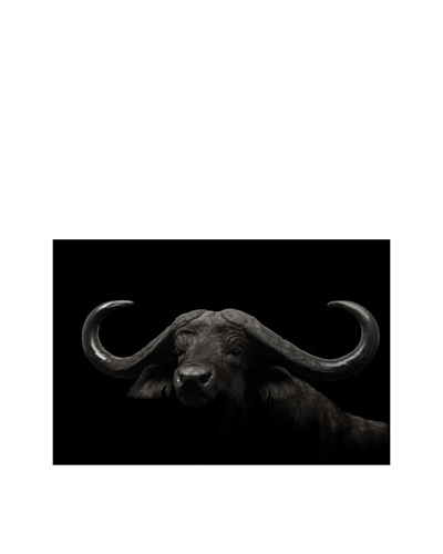 Art Addiction Asian Water Buffalo