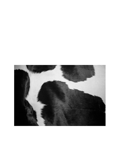 Art Addiction Black and White Cow I