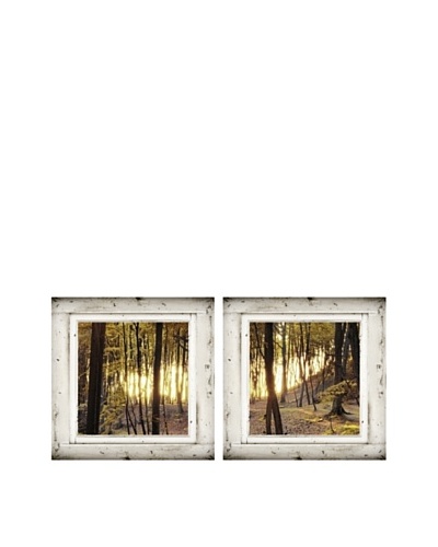 Art Addiction Set of 2 Enchanted Forest