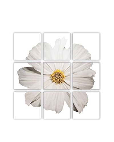 Art Addiction White Flower Artwork on Acrylic (Set of 9)