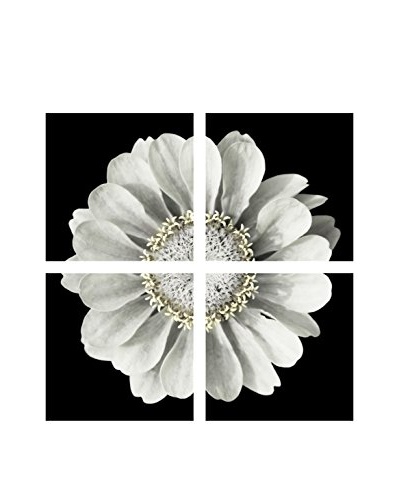 Art Addiction White Flower On Black Artwork on Acrylic (Set of 4)