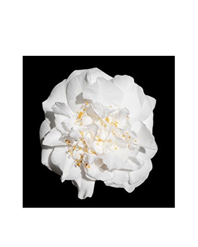 Art Addiction White Floral On Black VII Artwork on Acrylic
