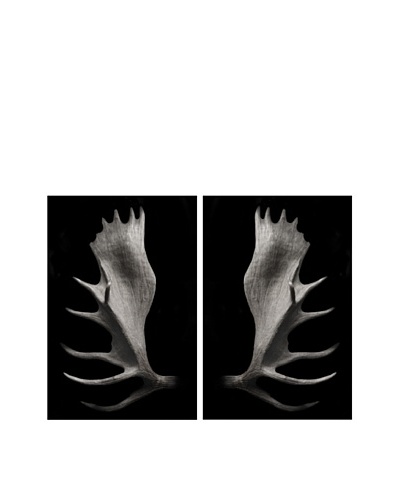 Art Addiction Set of 2 Elk AntlersAs You See