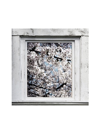Art Addiction Spring Window I, Blue
