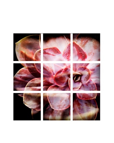 Art Addiction Acrylic Printed Pink Flower, Polyptych