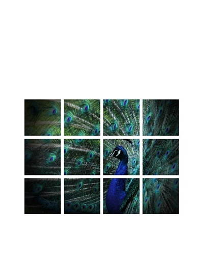 Art Addiction Acrylic Printed Peacock, Polyptych