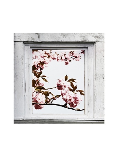 Art Addiction Spring Window II, Pink