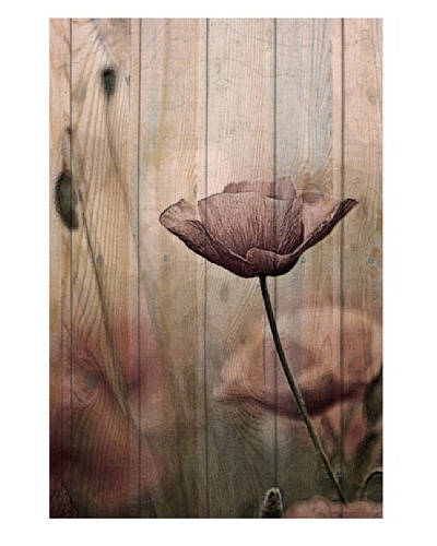 Art Addiction Woodflower II 36″ x 24″ Acrylic Panel