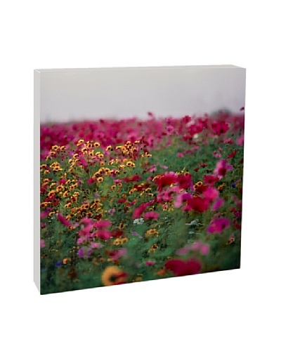 Art Block Meadow & Flowers Fine Art Photography on Metal