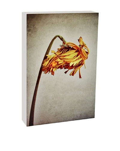 Art Block Floral Bow - Fine Art Photography On Lacquered Wood Blocks