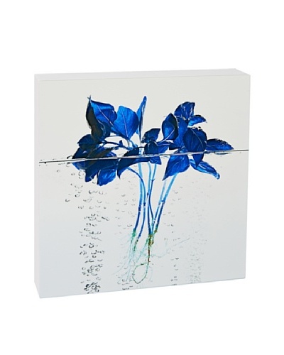 Art Block Blue Basil - Fine Art Photography On Lacquered Wood Blocks