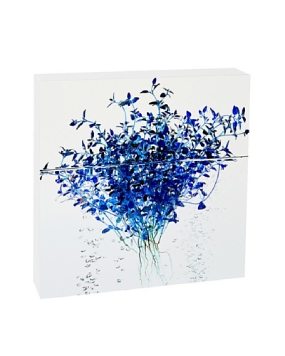 Art Block Blue Thyme Fine Art Photography on Metal