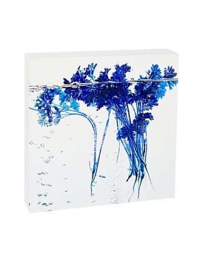 Art Block Blue Parsley – Fine Art Photography On Lacquered Wood Blocks