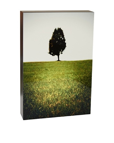 Art Block Lone Tree Fine Art Photography on Metal