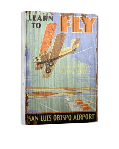 Artehouse Learn to Fly Reclaimed Wood Sign