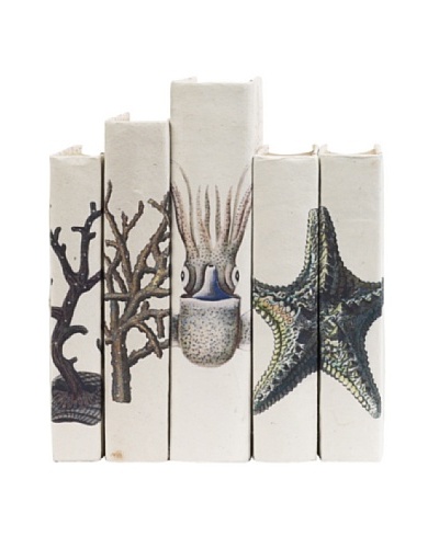 By Its Cover Hand-Rebound Set of 5 Coastal Decorative Books, III