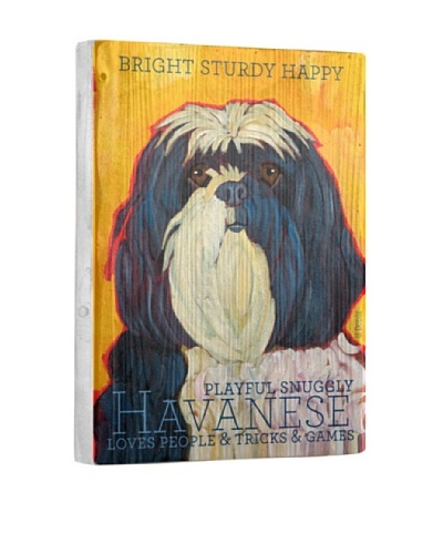 Ursula Dodge Havanese Reclaimed Wood Portrait