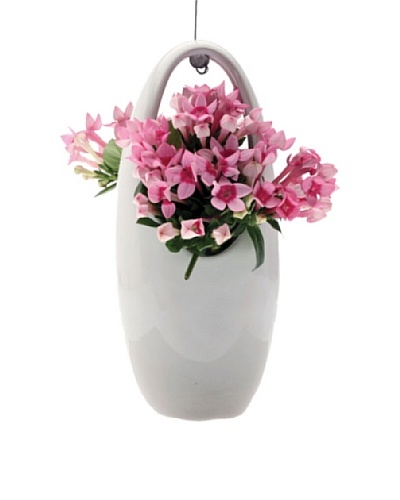 Chive White Hanging Aerium Egg Vase