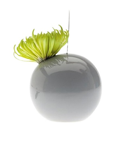 Chive Hanging Aerium Orb Vase