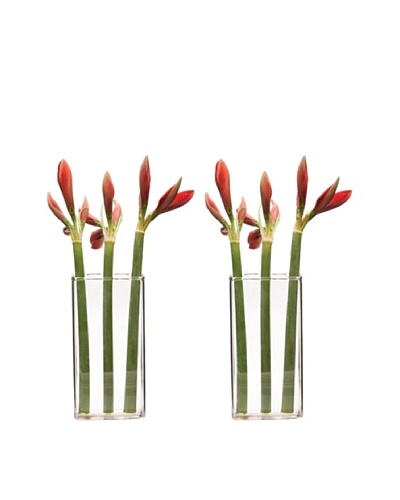 Chive Set of 2 Lucie Mercury Glass Vase