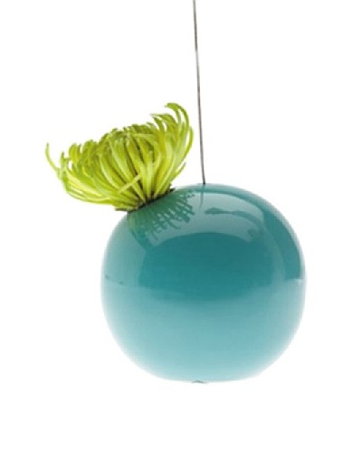 Chive Hanging Aerium Orb Vase