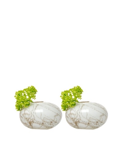 Chive Set of 2 Champagne Oval Vases