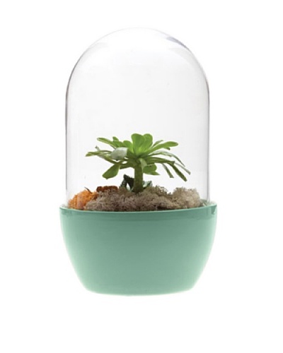 Chive Green Pill Terrarium