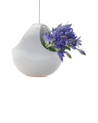 Chive Hanging Aerium Nest Vase