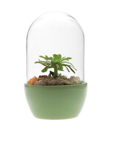 Chive Green Pill Terrarium