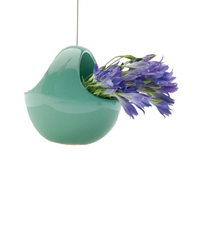 Chive Hanging Aerium Nest Vase