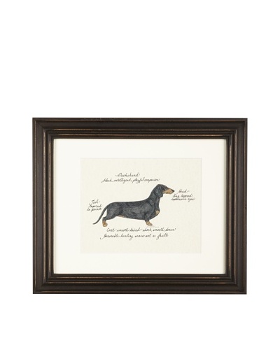 Clapper Hollow Dachshund B & T