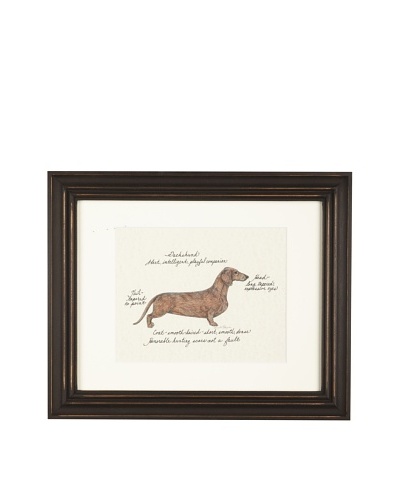 Clapper Hollow Dachshund Red