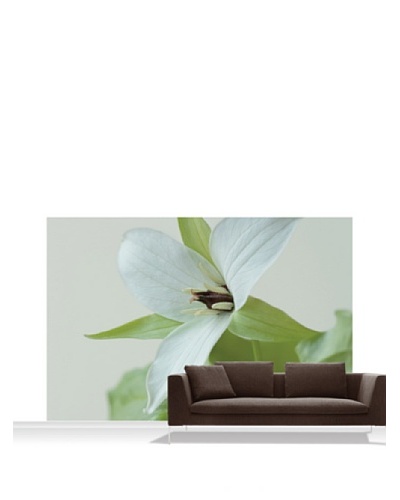 Clive Nichols Photography The White Flower of Trillium Simile Mural, Standard, 12' x 8'