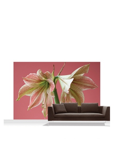 Clive Nichols Photography Exotic Star Mural, Standard, 12' x 8'