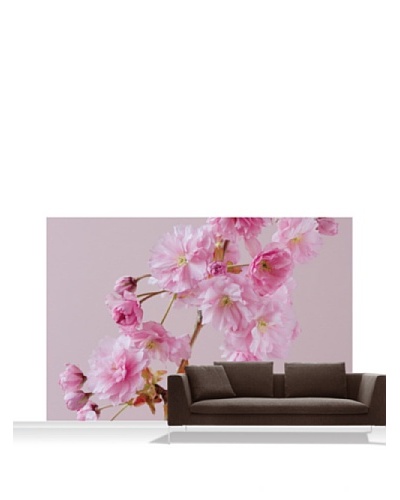 Clive Nichols Photography The Flowers of Prunus Kanzan Standard Mural – 12′ x 8′