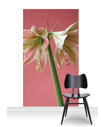 Clive Nichols Photography Exotic Star Standard Mural [Accent]